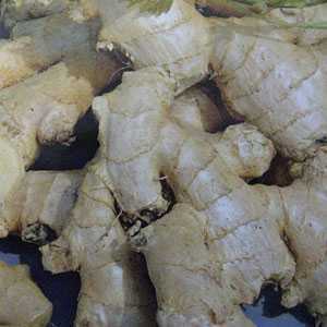 Ginger Officinale 1 Per Pack