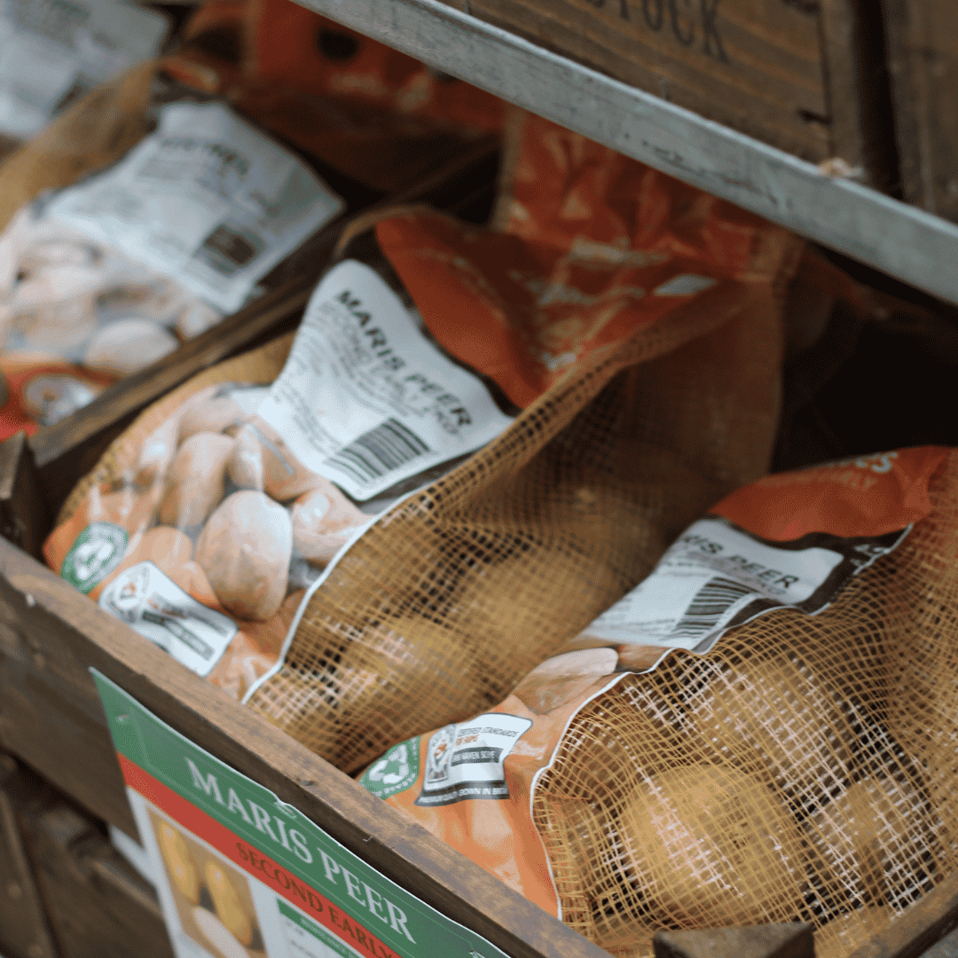 Seed Potato Buying Guide: Which Variety Should You Grow?