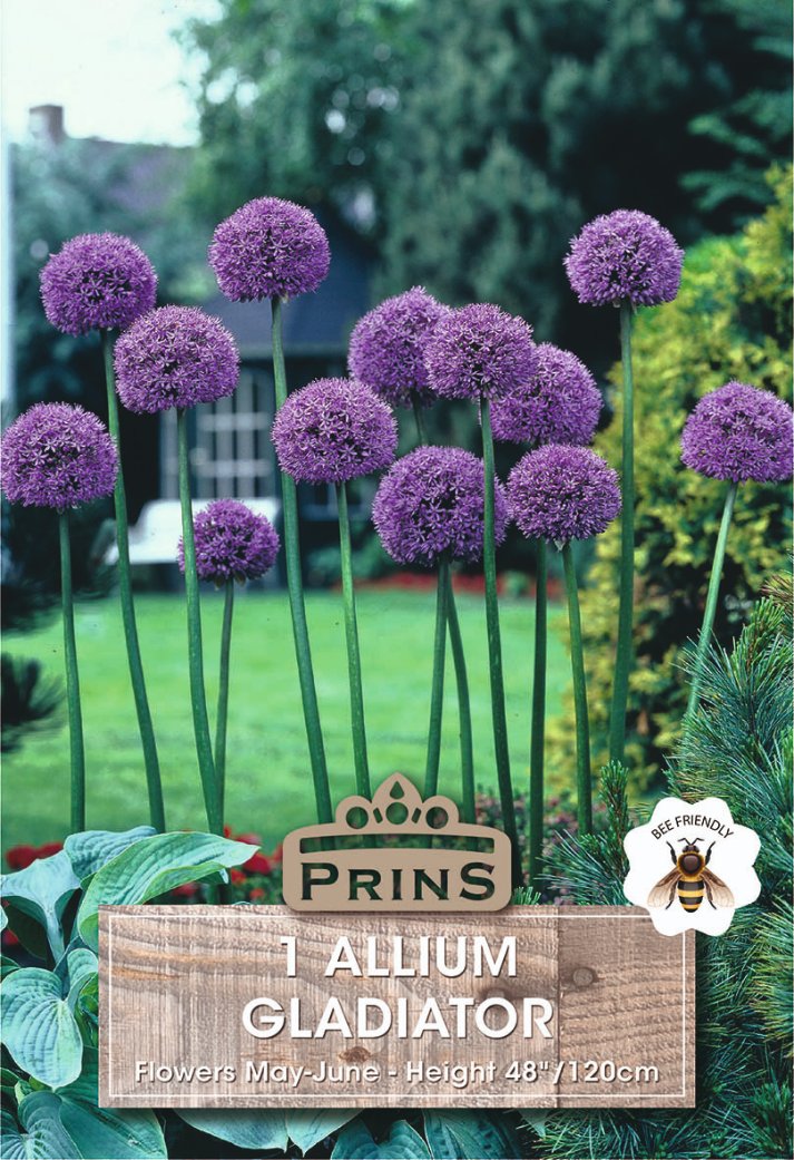 Garden label for Prins Allium Gladiator featuring purple globe flowers on tall green stems in a garden setting, with the text '1 ALLIUM GLADIATOR' and a bee emblem.