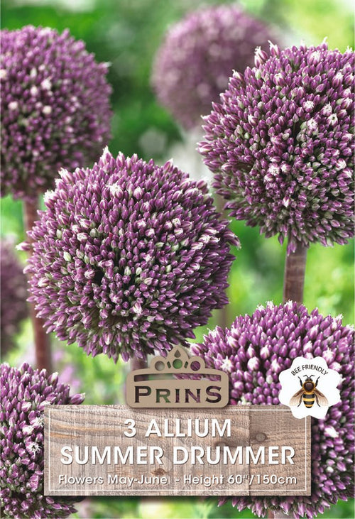 Seed packet for '3 Allium Summer Drummer' featuring a close-up photo of blooming purple allium flower heads on a green garden background, with the Prins brand logo and a bee icon.