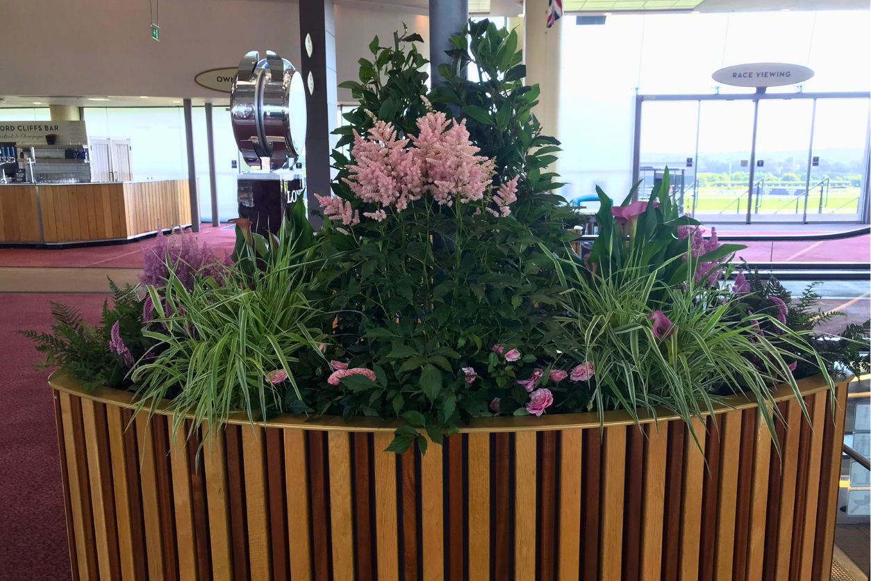 Ascot Racecourse commercial plant display created by Plants Galore Online, showcasing premium indoor planting, ornamental grasses, flowering perennials and professional trade landscaping services.