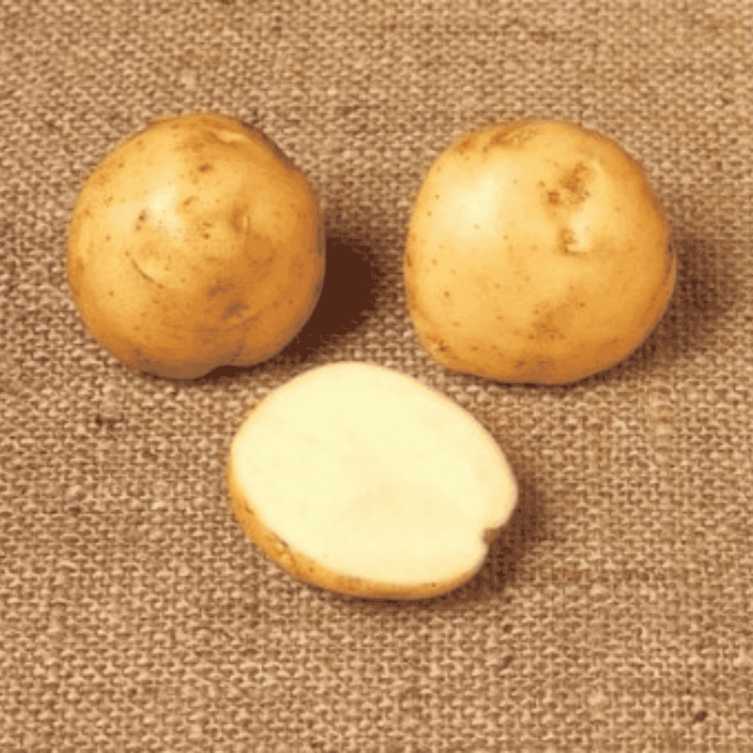 Three small yellow potatoes on a textured burlap background, with one potato cut in half to show the pale cream interior.