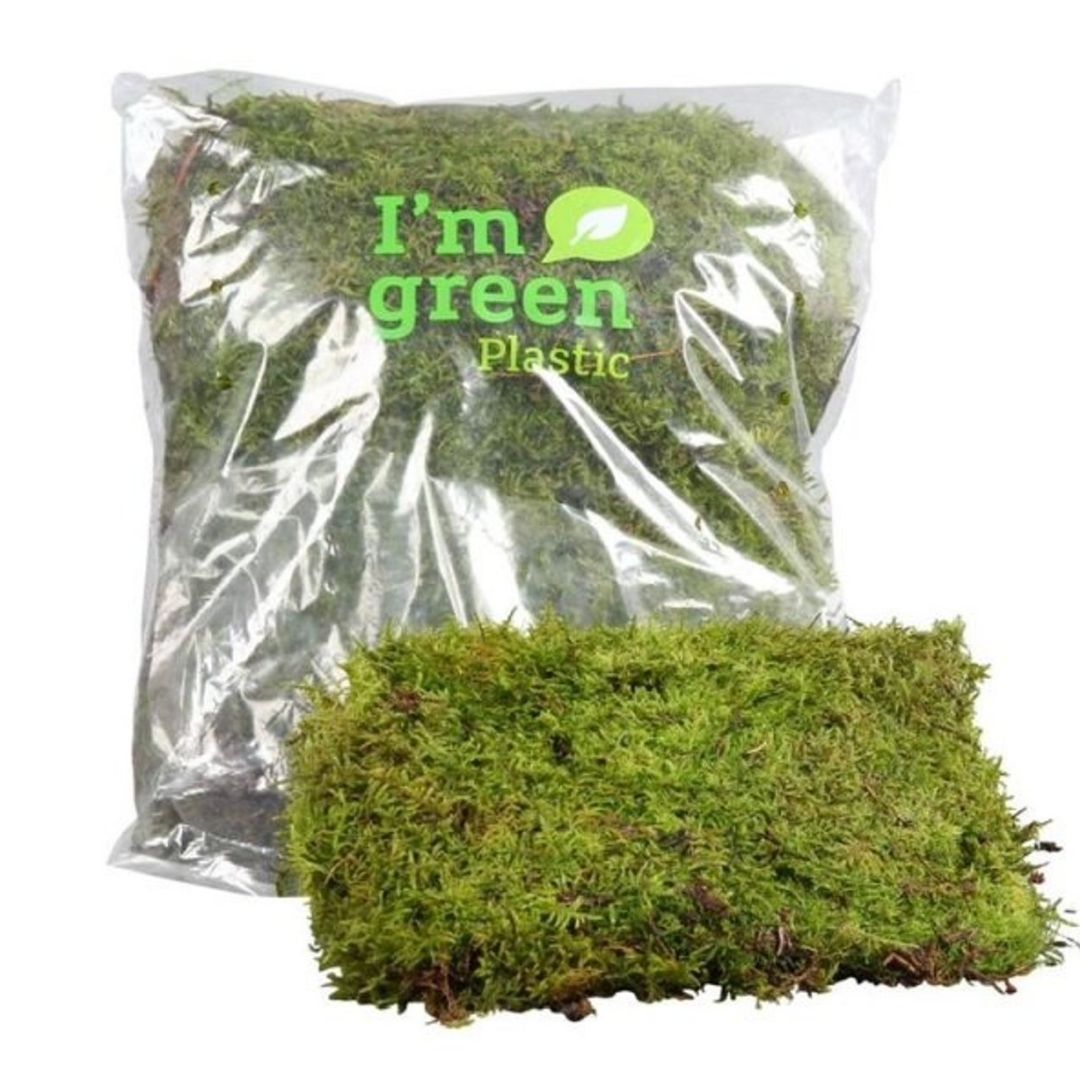 A clear plastic bag filled with bright green flat moss, with a smaller square sample of the same moss placed in front on a white background. The bag has printed green text reading 'I'm green Plastic'.