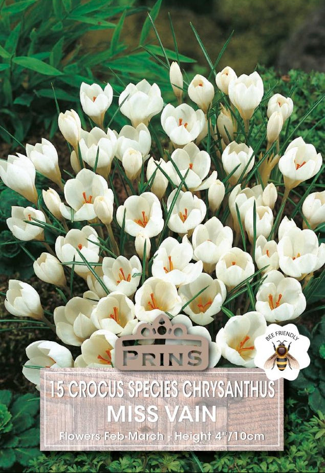 Seed packet for Prins Miss Vain crocus bulbs, featuring a large photograph of white crocuses with green foliage, a barcode, and product text on a wood-grain style label.