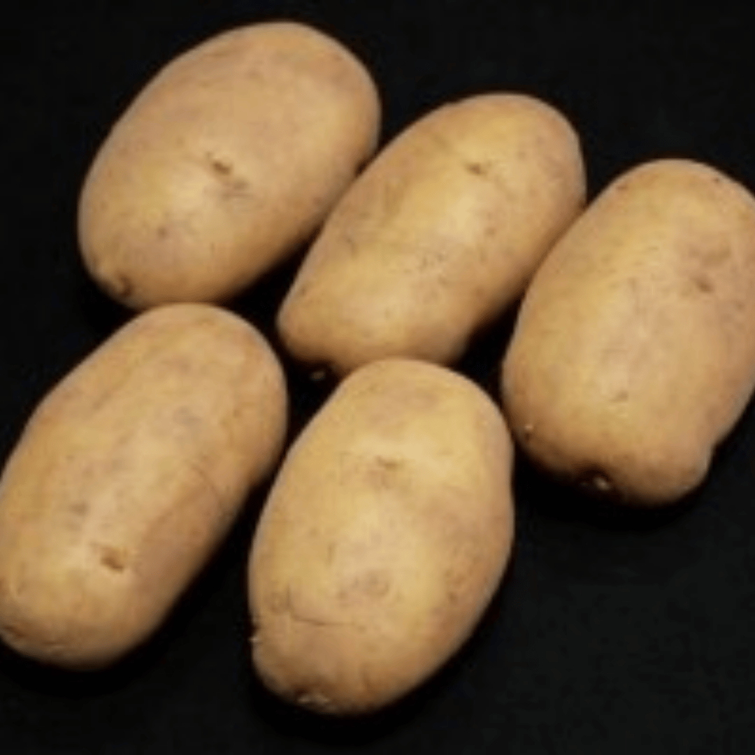 Five raw, unpeeled yellow potatoes arranged on a solid black background.