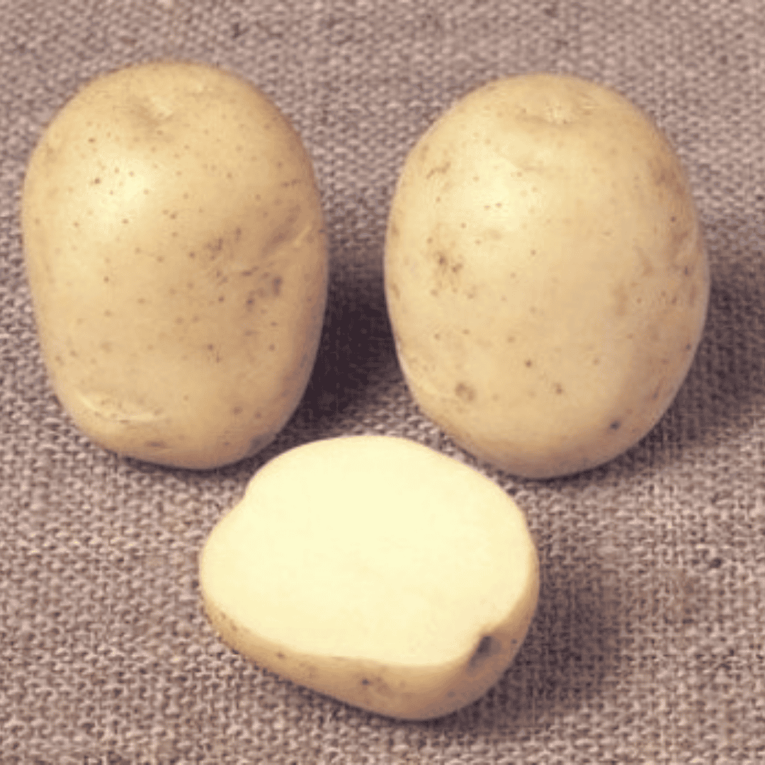 Three small potatoes on a textured beige fabric background, with one potato cut in half to show the pale cream interior.