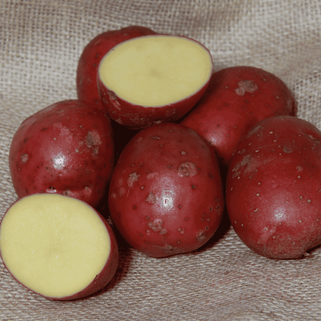 Red potatoes on a textured beige fabric background, with two cut open to show pale yellow flesh.