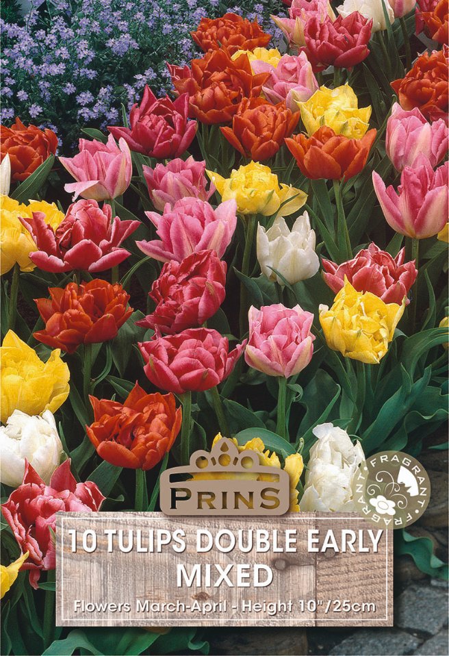 A seed packet for Prins 10 Tulips Double Early Mixed, featuring a vibrant background image of blooming tulips in pink, yellow, orange, and white, with a wood-textured label at the bottom.