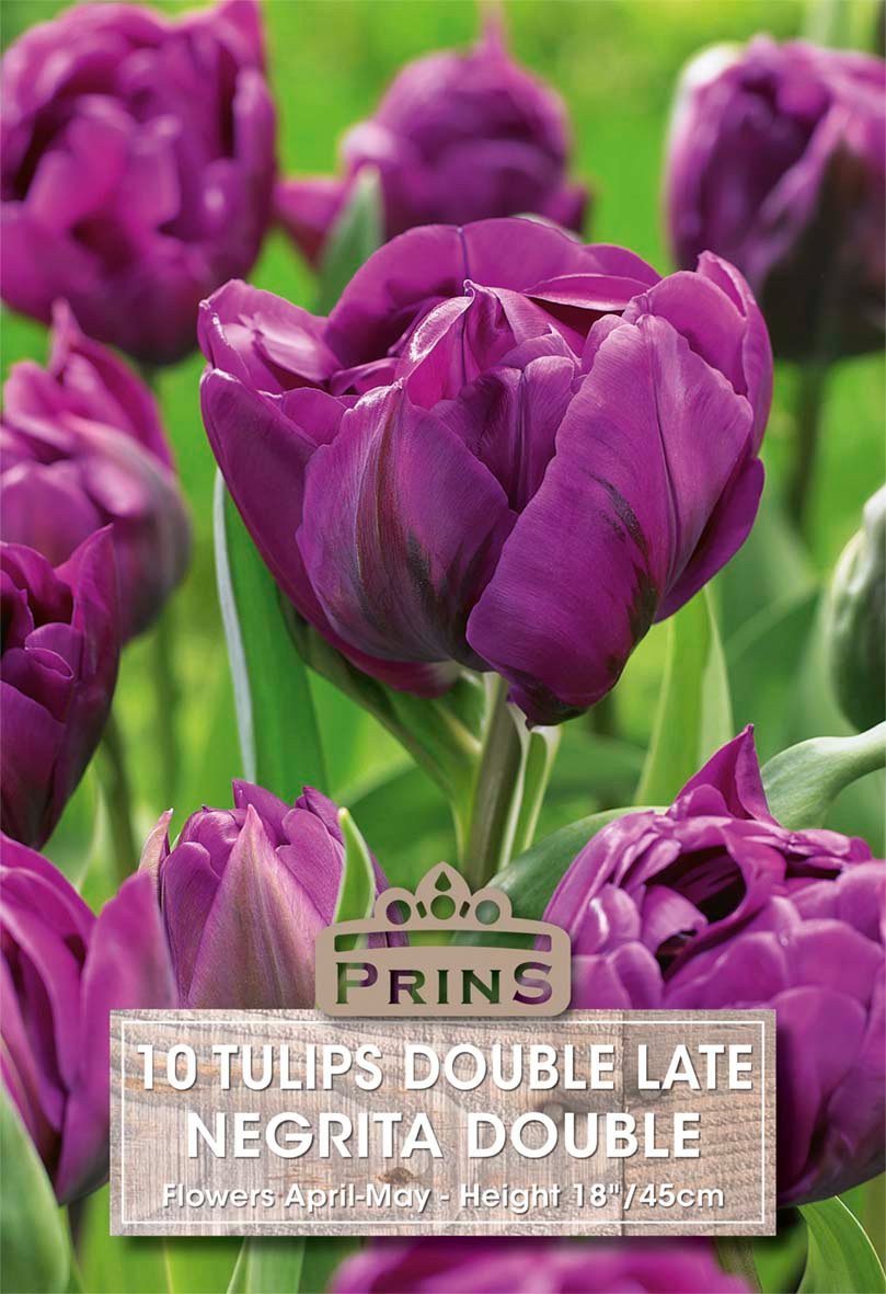 A close-up floral product image showing purple double late tulips with green stems and leaves, overlaid with a label reading 'PRINS 10 TULIPS DOUBLE LATE NEGrita DOUBLE Flowers April/May - Height 18-24cm'.