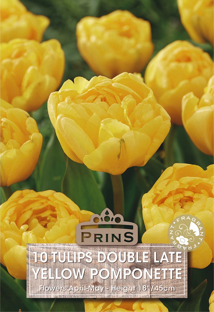 Packaging for a seed or plant labeled 'PRINS 10 TULIPS DOUBLE LATE YELLOW POMPONETTE', with a close-up floral photo of yellow tulips in the background.