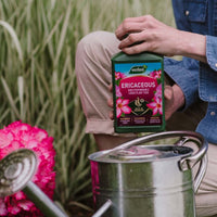 Gardener holding Westland Ericaceous Liquid Plant Food 1L next to a watering can and pink ericaceous flowers.
