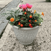 A decorative gray stone looking plastic planter filled with pink cyclamen flowers, orange flowers, and small red berries, placed on a concrete sidewalk.