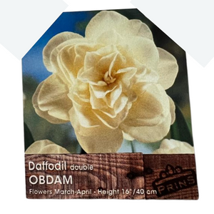 Daffodil Double Obdam Bulbs 3Kg Bag