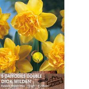 Daffodil Double Dick Wilden Bulbs 5 Per Pack